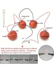 EUDAX - Kit De Experimentos CientíFicos De BateríA De Frutas Con Reloj ElectróNico Y LED RGB Para Equipo De EnseñAnza En Casa, Proyecto De Ciencia Escolar, Tema Educativo