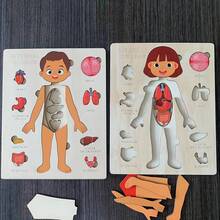 1件互动式木制拼图，儿童益智玩具 - 彩色拼图积木，帮助孩子学习人体解剖学，寓教于乐，理想的节日礼物和学习玩具 | 解剖学学习 - 彩色 - 查看 10