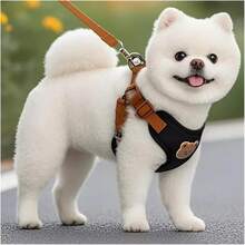 遛狗牵引绳，宠物胸背带，适合中小型犬，户外牵引绳，宠物胸背带，狗绳，泰迪狗绳 - 彩色 - 查看 3