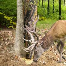 1pc Extra Large Durable Polyester Camouflage Bait Bag, Hunting Bait Bag, Animal Feeder With Adjustable Shoulder Strap, Portable - Multicolor - View 12