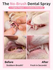 GJYC PET 一喷清新口气！宠物牙齿喷雾，适用于犬猫 - 无需刷牙，4 种口味（牛肉、鸡肉、苹果南瓜、原味）| 有效控制牙菌斑，使用方便，2.03 液盎司