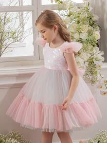 Young Girl Cap Sleeve Heart Decor Party Dress, Tulle Colorblock Princess Dress Fit For Birthday Party, Banquet, Prom, Wedding Flower Girl, Holiday Celebration - 淺粉色 - 查看 5