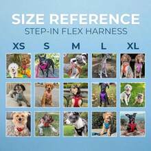 Best Pet Supplies Voyager by Fully Adjustable Step-in Mesh Harness with Reflective 3M Piping - Army Base X-Large - XL (Pecho: 23-28") - Ver 6