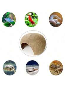 1个3.9-5.1英寸椰壳躲藏洞穴，适用于侏儒仓鼠和其他小型宠物 - 彩色 - 查看 6