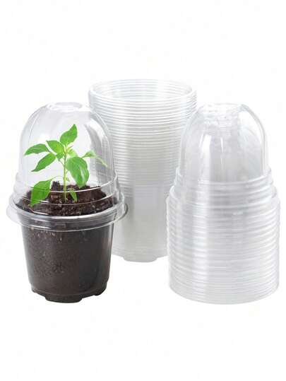 10pcs Reinforced Transparent Seedling Trays With Humidity Domes, Transparent Plastic Plant Propagation Trays With Humidity Domes, Transparent Plastic Planting Pots With Drainage Holes, Suitable For Vegetable Propagation, Cuttings, Seed Germination, Planting Container Cups Seed Germination Tray