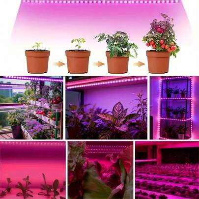 5V Low-Voltage Purple Light Plant Growth Supplement LED Strip. USB Powered, Plug And Play. Growth Supplement Light For Indoor Potted Plants, Succulents, Flowers, And Vegetables. Suitable For Small Desktop Potted Plants, Succulent Cultivation, And Indoor Green Plant Maintenance.