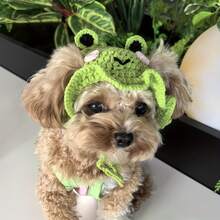 Cute Frog Pet Hat With Expressive Eyes And Furry Ears - Soft Green And Pink Crocheted Dog And Cat Headgear, Machine Washable All Season Clothing, Suitable For Small/Medium Dogs And Cats, Comfortable Active Eyes And Soft Cheeks, Suitable For Themed Parties And Everyday Wear, Glamorous Frog Design With Ribbed Ears And Expressive Eyes, Suitable For Small To Medium Pets, Glamorous And Practical Accessories, Dog Hat, Dog Hat - 青蛙 - 查看 3