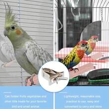 1个鸟类喂食器支架，鹦鹉水果蔬菜夹式喂食器，耐用衣夹式夹子 - 均碼 - 查看 3