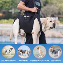 Arnes portatil Elevador para Perros Chaleco Elevador de Eslinga de Apoyo y rehabilitacion para Mascotas con Lesiones en Las articulaciones Artritis M - S - Ver 5