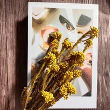 Nordic Style 50g Preserved Rice Flower Bouquet, Artificial Dried Flowers For Home Decor, Vase Arrangement Centerpiece For Wedding/ Coffee Shop, Room Decor Photo Prop, Natural Floral Gift - Multicolor - View 17