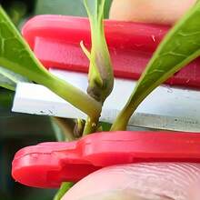 4件套符合人体工学的拇指和手指修枝剪 - 锋利刀片，可精确修剪蔬菜、香草、盆景和家庭园艺植物，防滑手柄，经久耐用 - 彩色 - 查看 7