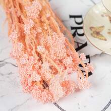 Nordic Style 50g Preserved Rice Flower Bouquet, Artificial Dried Flowers For Home Decor, Vase Arrangement Centerpiece For Wedding/ Coffee Shop, Room Decor Photo Prop, Natural Floral Gift - Multicolor - View 15