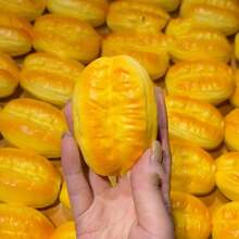 1 Peça Brinquedo de Pão Macio de Rebote Lento 2026 Novo - Brinquedo de Aperto - Gadget Criativo de Alívio de Estresse - Presente para Amigos, Coleção, Feriados, Aniversários - Multicolorido - Visão 7