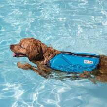 Outward Hound Dawson Swim Dog Life Jacket, High-Performance Neoprene Dog Life Vest For Swimming, Boating, And Water Safety, XL, Blue - ColorA - 查看 5