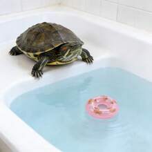 Mini Swimming Ring, Rubber Duck Bath Toy Accessories, Boba Tea Shop Donut Decor - Multicolor - View 3