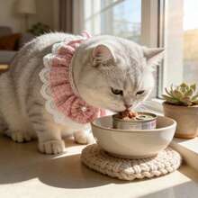 2026 Spring New Arrival - 1pc Fashionable Lace Trim Pet Bib/Faux Pearl Bow Tie - Princess Style - Handmade - Adjustable Length - Cat Scarf Dog Bib/Pet Scarf Bib/Dog Drool Cloth/Pet Accessories - Black - View 10