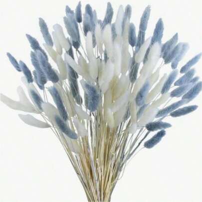 60/120/180/240 片天然干花装饰，天然干兔尾草，干香蒲，适用于家居装饰、婚礼装饰、派对装饰、DIY 手工艺品、摄影道具、主题装饰，17.7 英寸（白色）