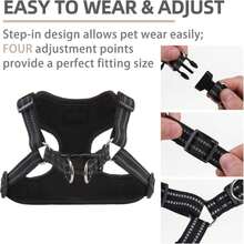 PUPTECK Dog Harness And Leash Set Medium Sized, Step In No Pull Adjustable Puppy Cat Harness Reflective Pet Vest - MàuC - Xem 3