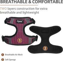 PUPTECK Dog Harness And Leash Set Medium Sized, Step In No Pull Adjustable Puppy Cat Harness Reflective Pet Vest - MàuC - Xem 2