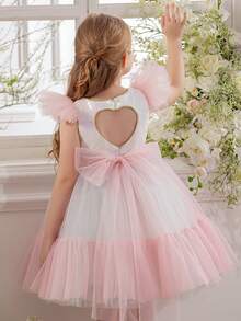 Young Girl Cap Sleeve Heart Decor Party Dress, Tulle Colorblock Princess Dress Fit For Birthday Party, Banquet, Prom, Wedding Flower Girl, Holiday Celebration - 淺粉色 - 查看 7