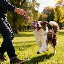 Best-Selling Braided Rope Dog Toys - Teeth Grinding, Durable Chewing & Teeth Cleaning (Fuchsia 7-Piece Set) - Multicolor - View 3