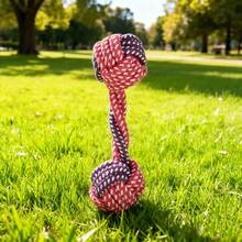 Best-Selling Braided Rope Dog Toys - Teeth Grinding, Durable Chewing & Teeth Cleaning (Fuchsia 7-Piece Set) - Multicolor - View 7