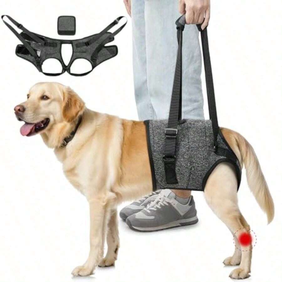Pet Harnesses - Dark Gray+M - View 1