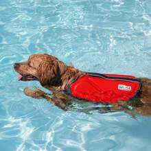 Outward Hound Dawson Swim Dog Life Jacket, High-Performance Neoprene Dog Life Vest For Swimming, Boating, And Water Safety, XL, Red - ColorF - 查看 5