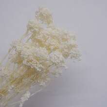 Nordic Style 50g Preserved Rice Flower Bouquet, Artificial Dried Flowers For Home Decor, Vase Arrangement Centerpiece For Wedding/ Coffee Shop, Room Decor Photo Prop, Natural Floral Gift - Multicolor - View 11