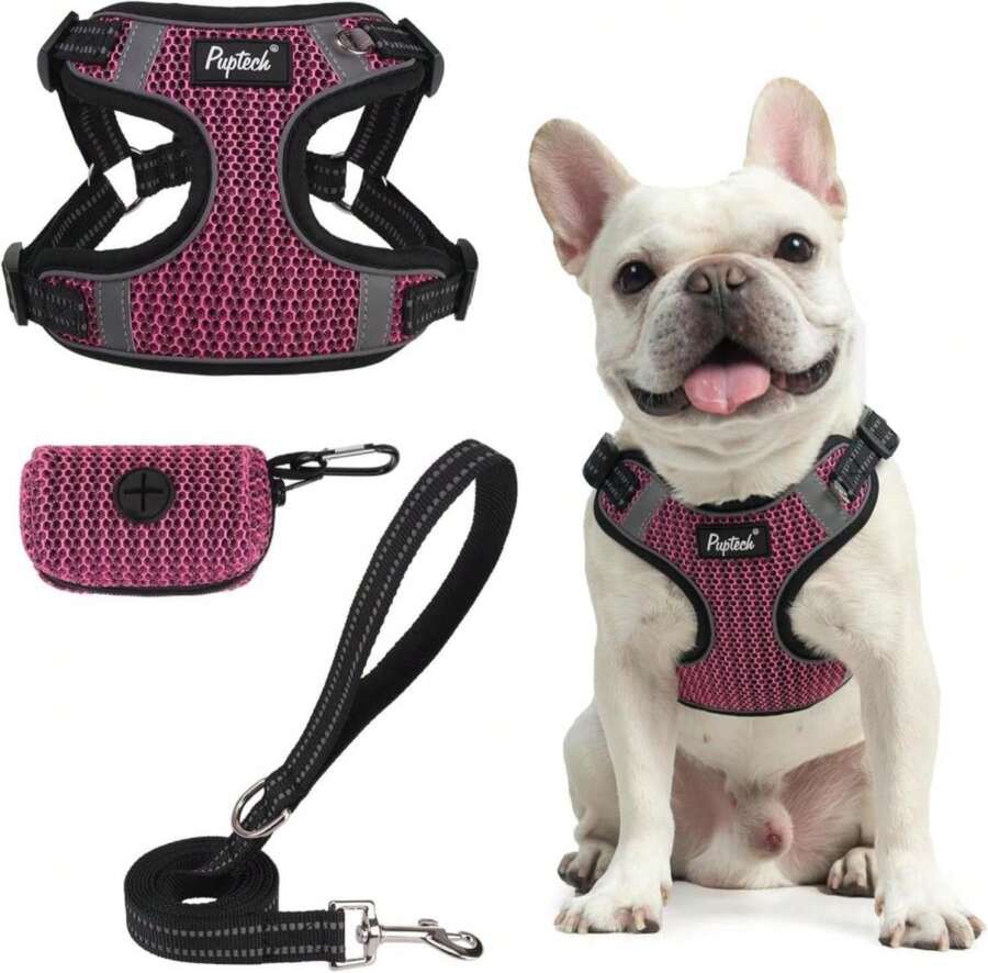 PUPTECK Dog Harness And Leash Set Medium Sized, Step In No Pull Adjustable Puppy Cat Harness Reflective Pet Vest - MàuC - Xem 1