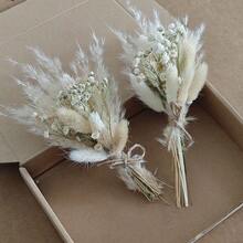 1/2/3/4/6/8/10/12/20pcs Hot Selling Mini Dried Pampas Grass & Baby's Breath Flower Bouquet, Suitable For Wedding Decoration, Boutonniere, Favors, Valentine's Day Gifts, Scented Floral Arrangement, Home Decor, Christmas & Valentine's Day Gifts, Party Decoration, Gift Wrapping - Brown - View 1