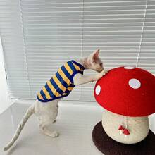 Hairless Cat Devon Rex Striped Vest, Small/Medium Pet Clothing, Machine Washable For Home Wear - Blue - View 6