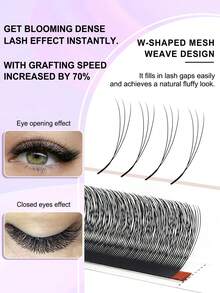 CoMango 12 Pcs C-Curl 3D Lashes, Closely Spaced, 3D W-Shape Lash Extensions, 0.07/0.1mm Pre-Made Fluffy Fan Lashes, Natural Soft Narrow 3D W-Shaped Lashes - C - View 6