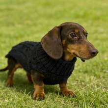 1 chiếc áo len cho chó Dachshund, áo len dài cho chó, quần áo thú cưng, áo len kiểu Anh màu trơn, áo len dài cho thú cưng, thiết kế tối giản, kiểu dáng đôi/bạn thân, phù hợp cho chó Dachshund, Basset Hound, Beagle, Corgi, các giống chó thân dài, mèo cũng có thể mặc, áo len dài, cá nhân hóa. - màu đen - Xem 21