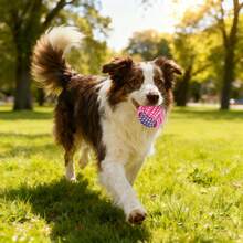 Best-Selling Braided Rope Dog Toys - Teeth Grinding, Durable Chewing & Teeth Cleaning (Fuchsia 7-Piece Set) - Multicolor - View 4