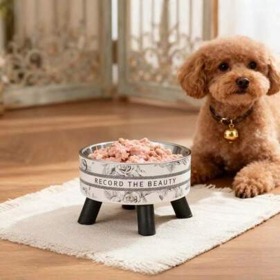 Elevated Stainless Steel Pet Bowl, Cat Water & Food Bowl, Anti-Spill Detachable Pet Feeder, Suitable For Small Dogs, Puppies, Cats And Other Small Pets, Multi-Color Options