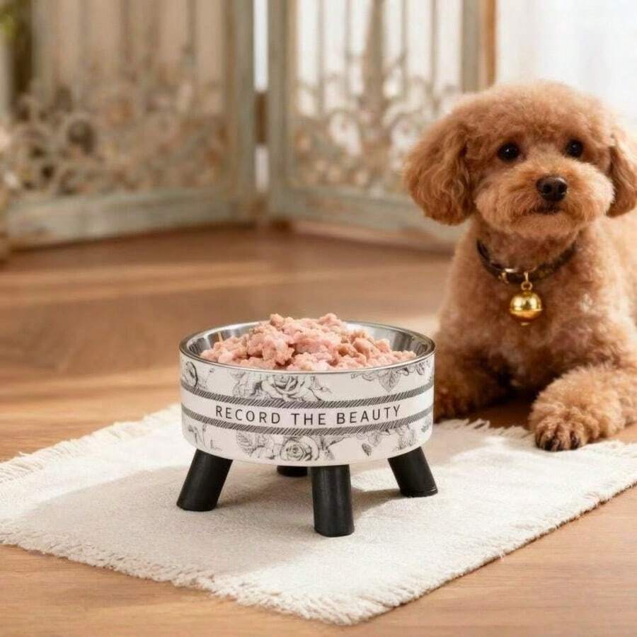 高脚不锈钢宠物碗，猫咪水食碗，防溢可拆卸式宠物喂食器，适用于小型犬、幼犬、猫咪及其他小型宠物，多种颜色可选
