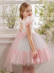 Young Girl Cap Sleeve Heart Decor Party Dress, Tulle Colorblock Princess Dress Fit For Birthday Party, Banquet, Prom, Wedding Flower Girl, Holiday Celebration - 淺粉色 - 查看 8