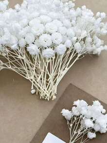 50/100支白色人造满天星花 - 精致耐用，易于DIY，适用于婚礼、家居和办公室装饰、派对和花园 - 桌面波西米亚风花环，无羽毛，无需用电，是圣诞节、感恩节和万圣节的理想圣诞装饰品，也是圣诞礼物和圣诞装饰的绝佳选择。