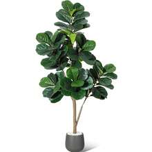 4ft-Con maceta negra