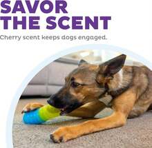 Outward Hound Gummiez Worm Dog Toy &Amp; Treat Stuffer, 6\U2033 X 2\U2033 Cherry-Scent Interactive Chew For Dogs, Helps Clean Teeth, Promote Healthy Gums &Amp; Mental Enrichment, Reduce Boredom &Amp; Support Dental Health - MàuD - Xem 4