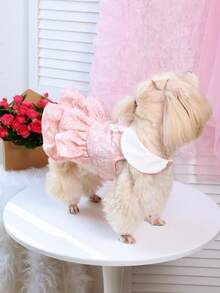 Vestido de mascota de encaje rosa para el Día de San Valentín - Falda con volantes en capas con cuello blanco y decoración de moño para perros pequeños - Rosa - Ver 7