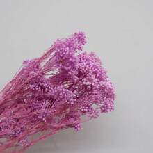 Nordic Style 50g Preserved Rice Flower Bouquet, Artificial Dried Flowers For Home Decor, Vase Arrangement Centerpiece For Wedding/ Coffee Shop, Room Decor Photo Prop, Natural Floral Gift - Multicolor - View 18