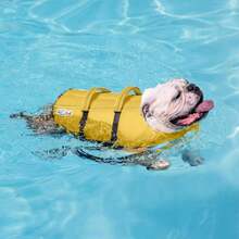 Outward Hound Granby Splash Dog Life Jacket \U2013 Flotation Vest For Swimming &Amp; Boating, Maximum Buoyancy, All Skill Levels, 33"-44" Girth, Yellow, X-Large - ColorG - 查看 5