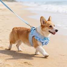 Pet Harness And Leash Set For Dogs, Vest-Style Harness With Snap Buckle Double Layer Protection, Polyester Soft Fabric, Comfortable Breathable Non-Suffocating, With Bow Cartoon Pattern Design, Suitable For Small Pets Like Dogs And Cats For Outdoor Wear - Available In 2 Colors, Blue/Pink To Choose From - Hồng - Xem 7