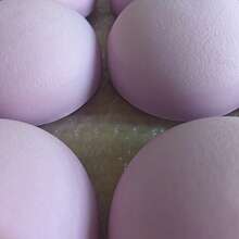 畅销跨境芋头香味慢回弹减压捏捏乐玩具 - 淡紫色 - 查看 6