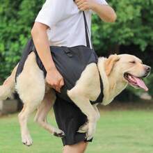 Arnes portatil Elevador para Perros Chaleco Elevador de Eslinga de Apoyo y rehabilitacion para Mascotas con Lesiones en Las articulaciones Artritis M - S - Ver 6
