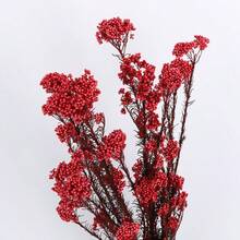 Nordic Style 50g Preserved Rice Flower Bouquet, Artificial Dried Flowers For Home Decor, Vase Arrangement Centerpiece For Wedding/ Coffee Shop, Room Decor Photo Prop, Natural Floral Gift - Multicolor - View 19