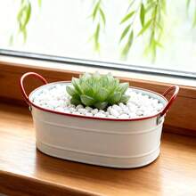 白色和红色椭圆形铁艺花盆，配有双提手和条纹装饰。椭圆形盆身搭配条纹纹理，双提手设计方便移动，整体风格简约而不失复古趣味。适合种植多肉植物、小型盆栽，兼具美观与实用性。 - 白色 - 查看 4