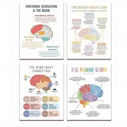 [Print Painting] 4pcs Educational Brain Anatomy And Psychology Posters - Emotion Regulation, Brain-Body Connection, Neuroscience Art, Therapist Decor - Paper, Less - Ideal For Medical Personnel & Science Enthusiasts